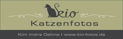 Katzenfotografie