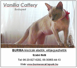 Vanilia Cattery Budapest