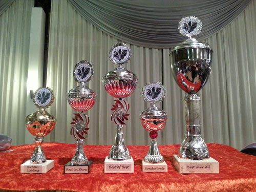 Josie von Sona Soraj