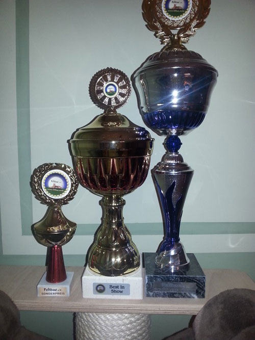 Josie von Sona Soraj