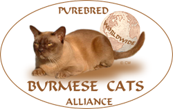 Burmese Cats Alliance