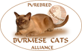 Burmese Cats Alliance